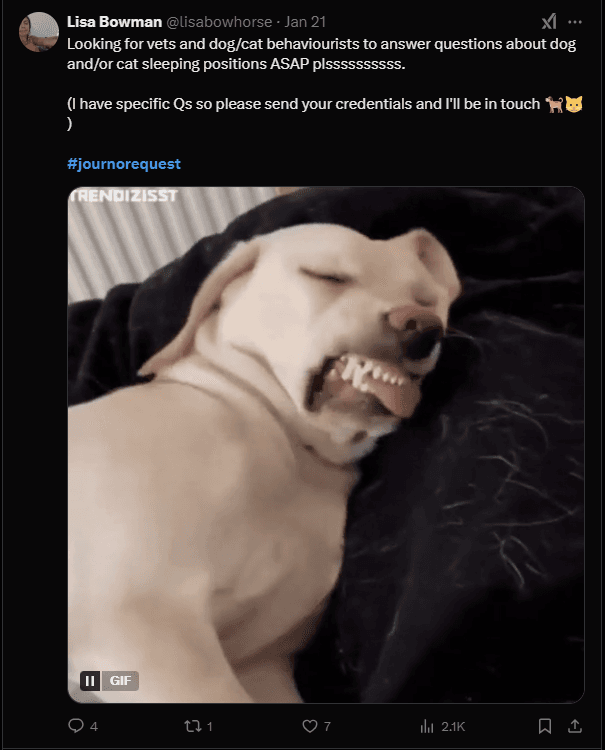 Expert Commentary Sample